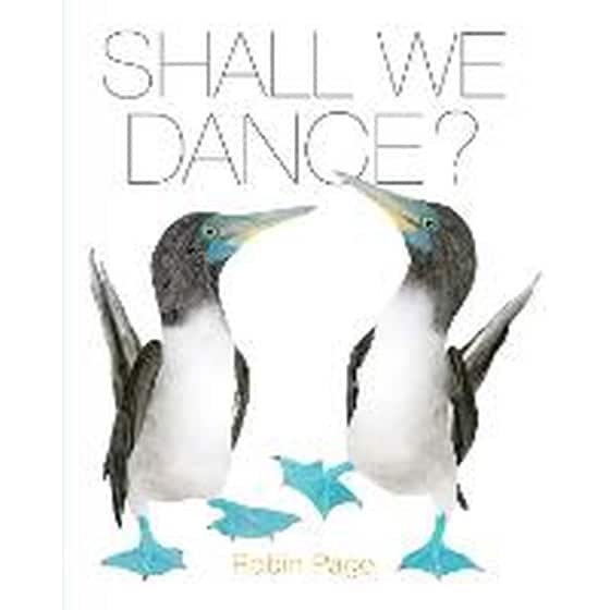 Shall We Dance? image 0