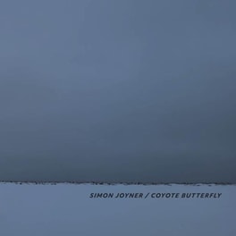 Coyote Butterfly
