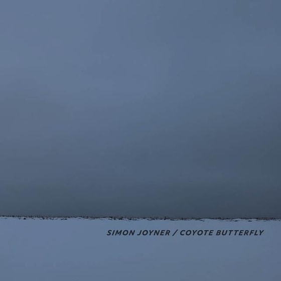 Coyote Butterfly image 0