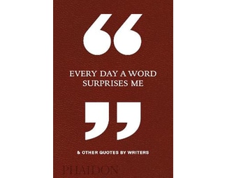 Every Day a Word Surprises Me & Other Quotes by Writers image 0