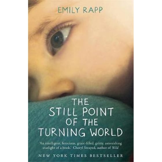 The Still Point of the Turning World image 0