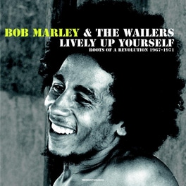 Lively Up Yourself - Roots Of A Revolution 1967-1971