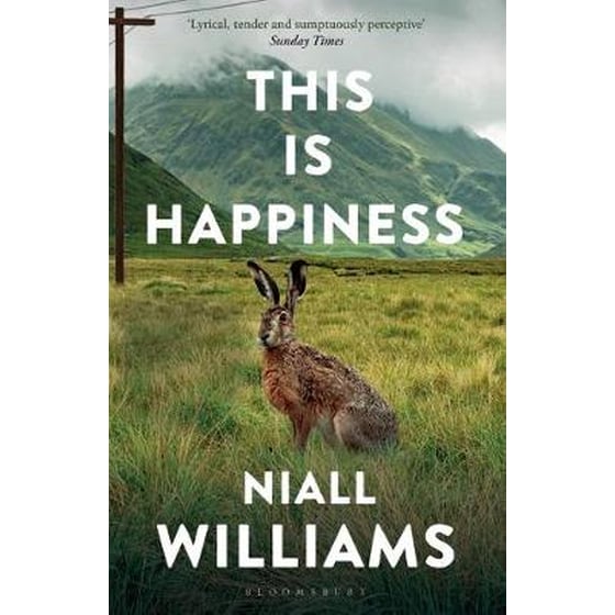 This Is Happiness image 0