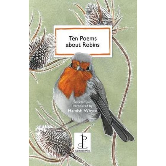 Ten Poems about Robins image 0