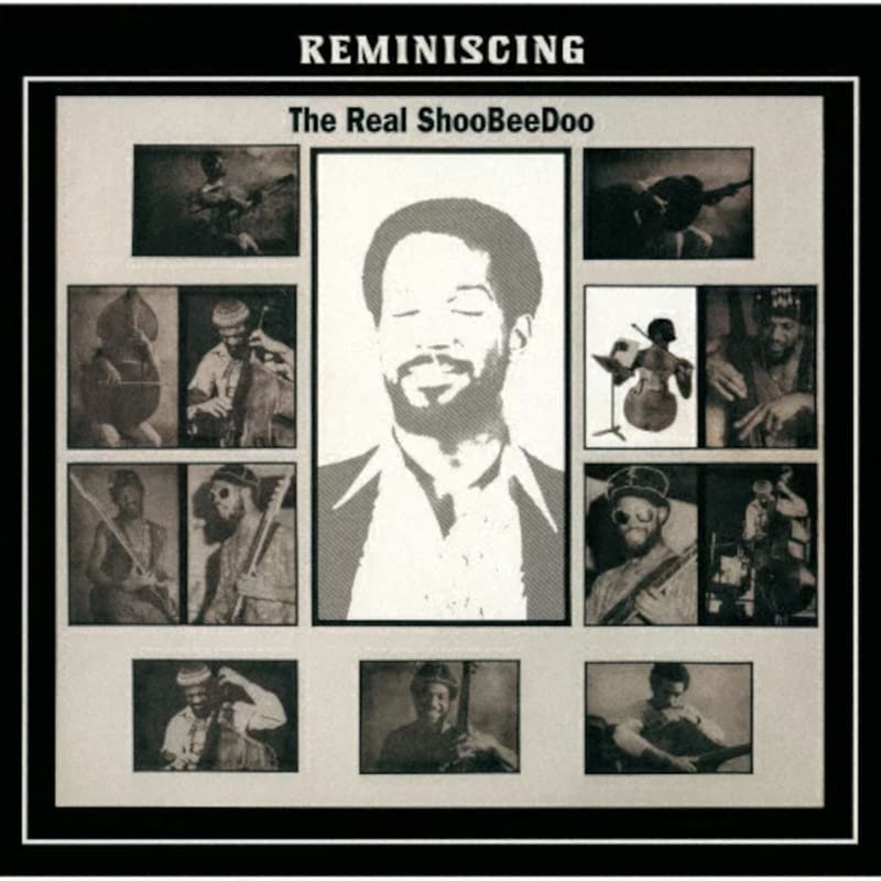 Reminiscing (LP)