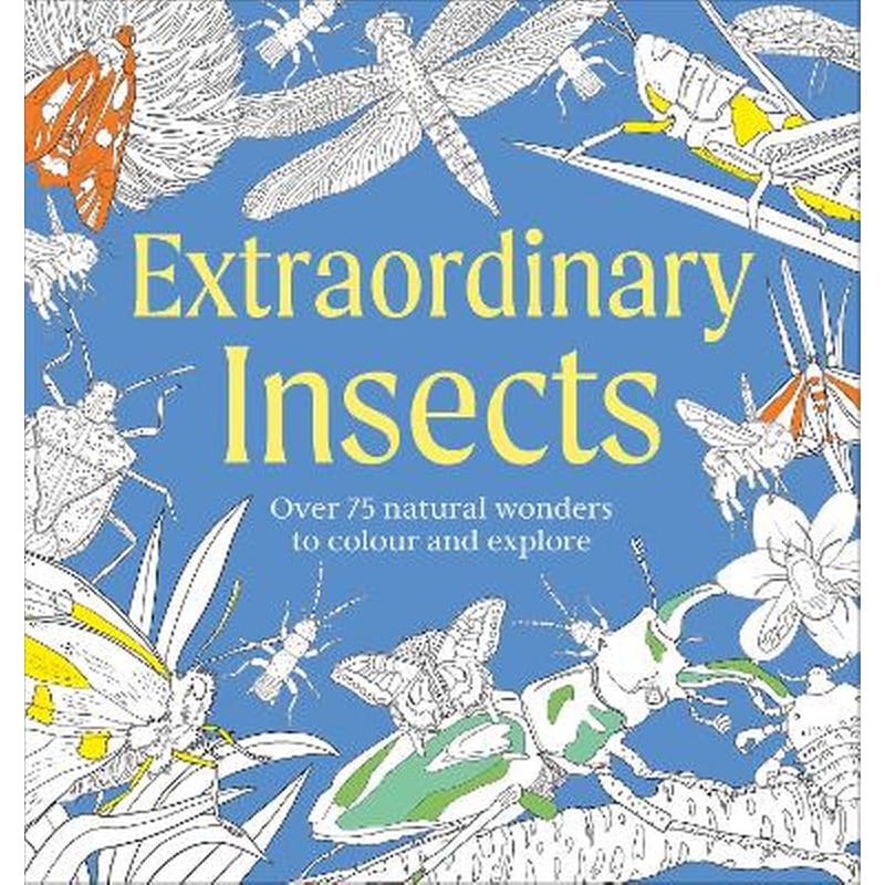 Extraordinary Insects Colouring Book