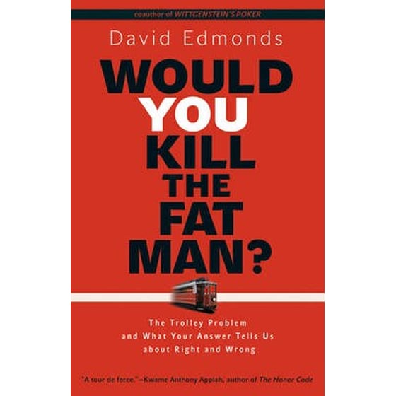 Would You Kill the Fat Man? image 0