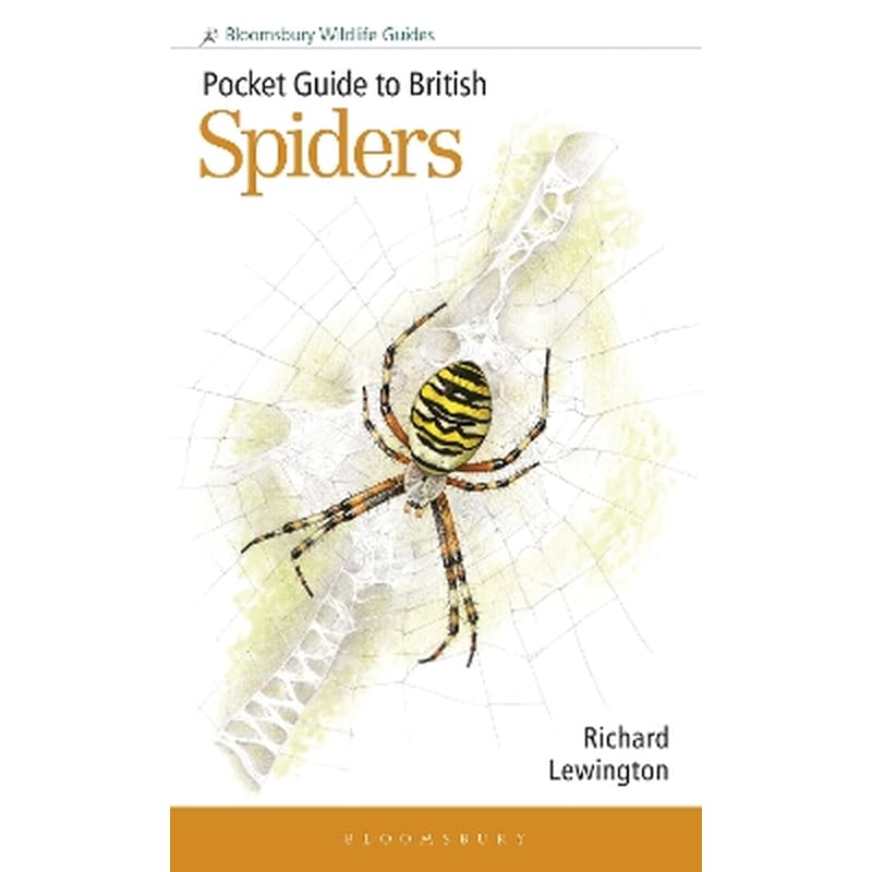 Pocket Guide to British Spiders