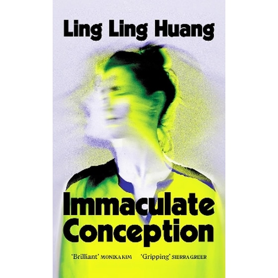 Immaculate Conception image 0