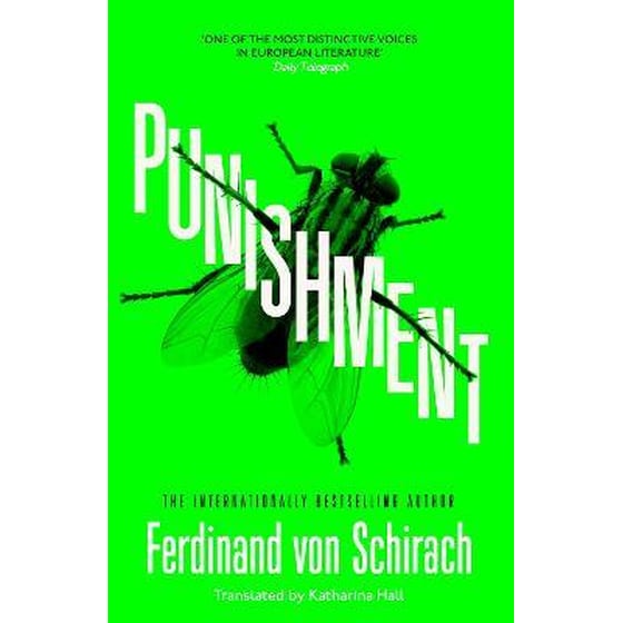 Punishment - The gripping international bestseller image 0