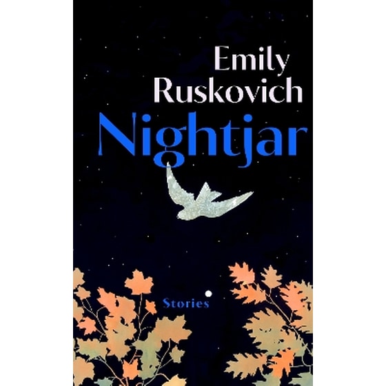 Nightjar image 0