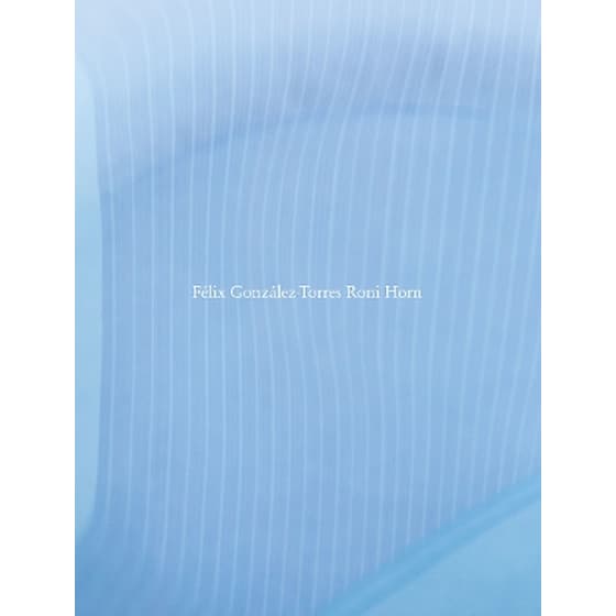 Félix González-Torres / Roni Horn image 0