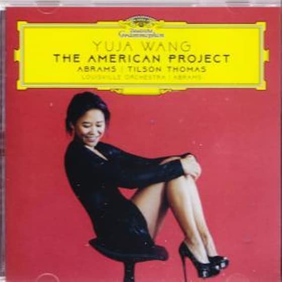 The American Project image 1