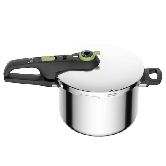 Χύτρα Τατύχητος TEFAL P2580702 6 L Inox image 1
