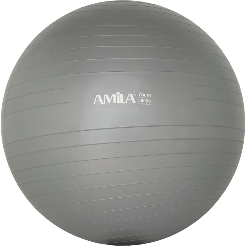 Μπάλα Γυμναστικής Amila Κατάλληλη για Pilates 1.70 kg 75 cm από PVC - Γκρι AMILA