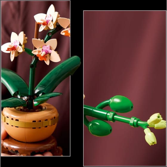 LEGO® Botanicals Mini Orchid (10343) image 6