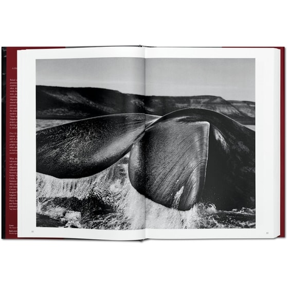 Sebastiao Salgado. GENESIS image 3