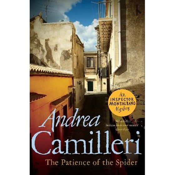 The Patience of the Spider image 0