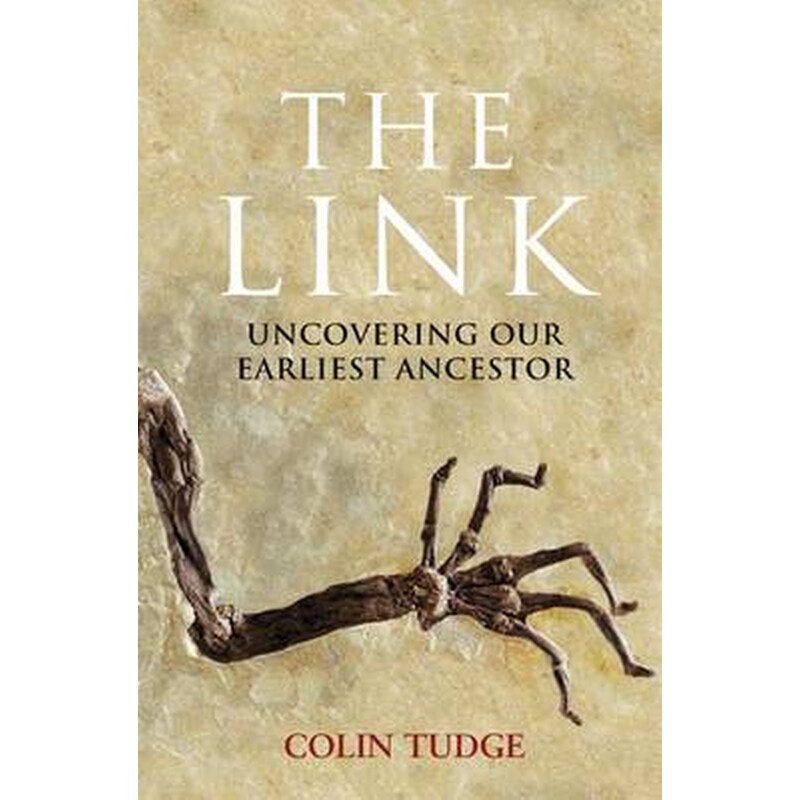 The Link