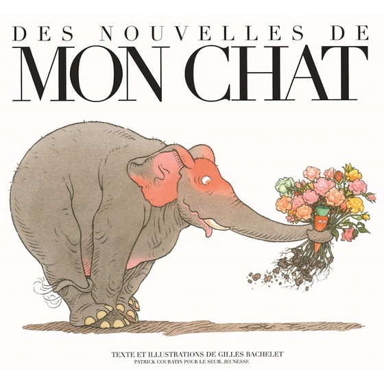 Des Nouvelles de Mon Chat image 0