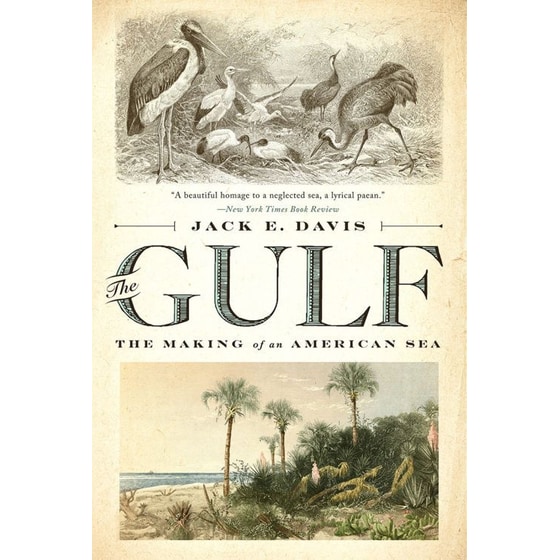 The Gulf image 0
