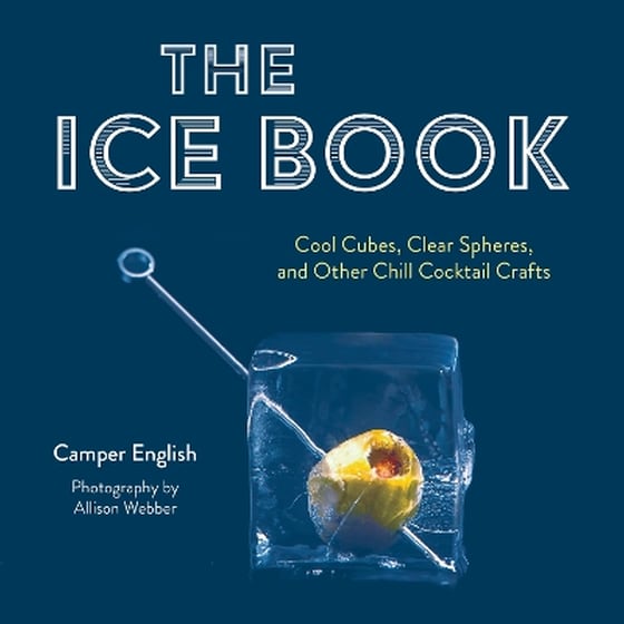 The Ice Book image 0